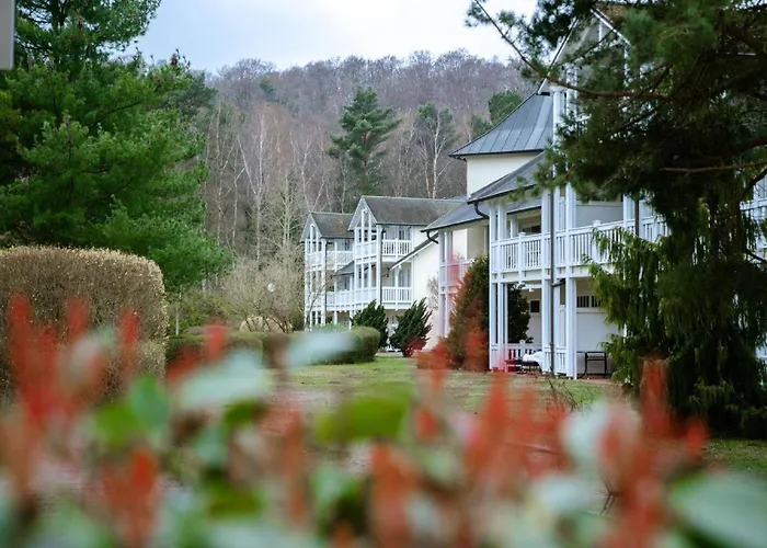 Duenenpark - Komfort Mit 1 Schlafzimmer Und Terrasse Im Erdgeschoss 152 Διαμέρισμα *